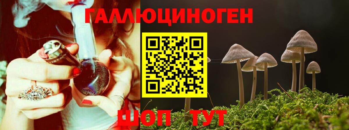 Галлюциногенные грибы Psilocybe  Вход с VPN  Галлюциногенные грибы мицелий  Орёл 
